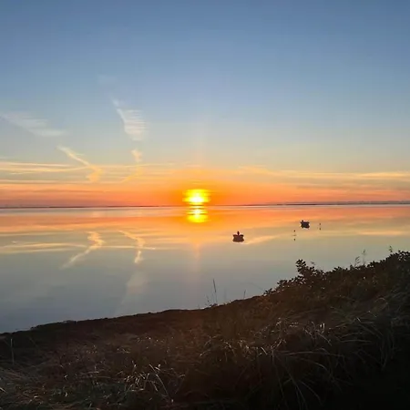 Charming Retreat Near Attractions - By Traum *